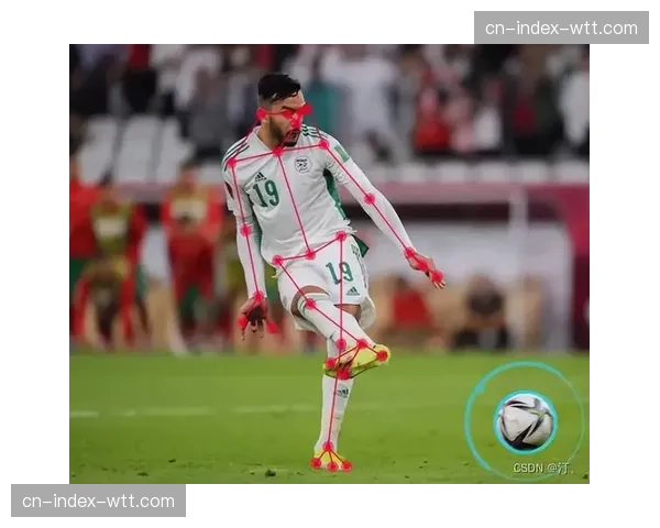 意甲股东大会通过决议，下赛季起将启用半自动越位技术